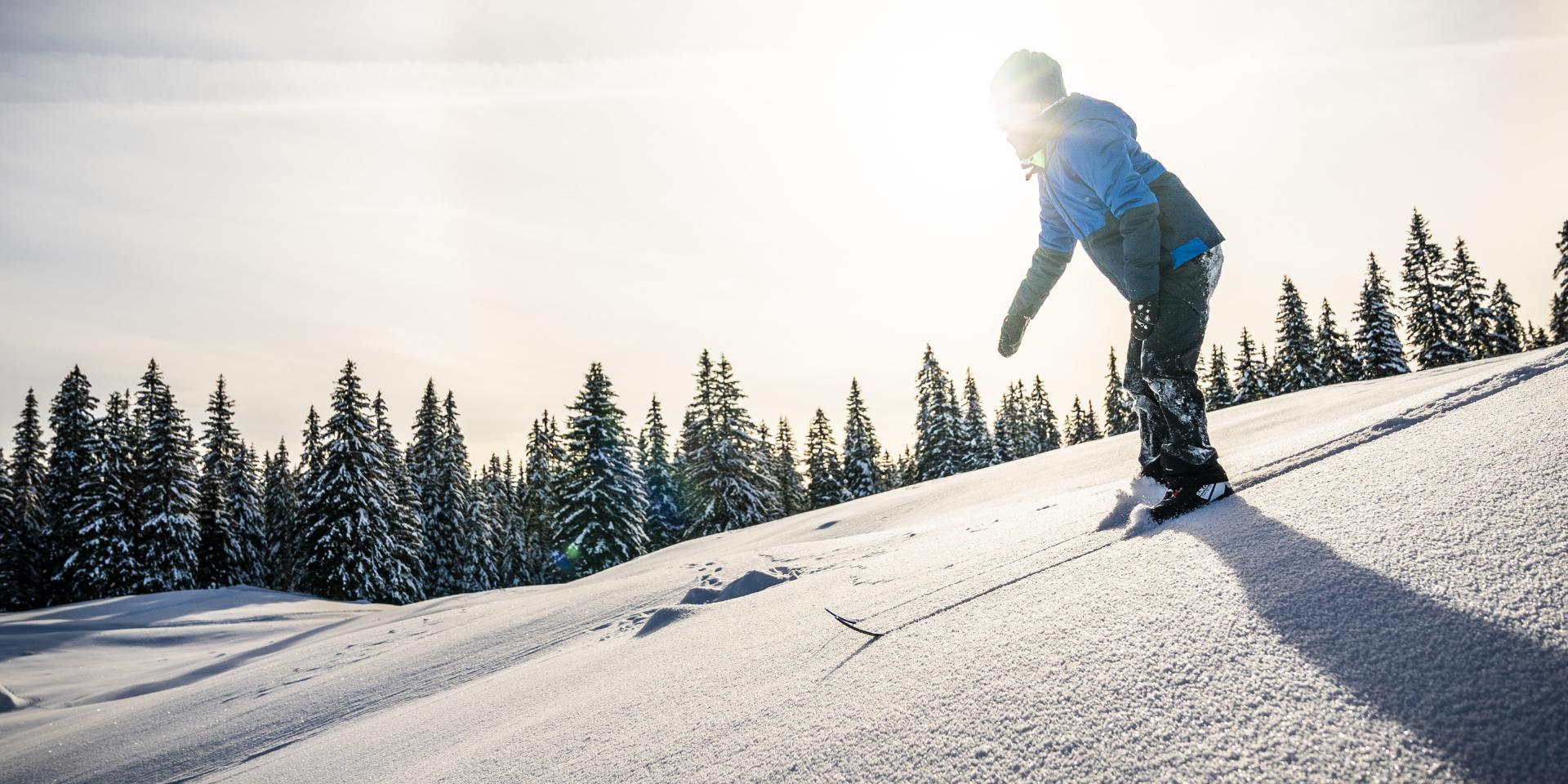 Jeune skieur dans la poudreuse