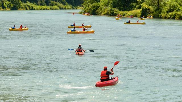 Canoës sur le Rhône