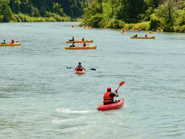 Canoës sur le Rhône