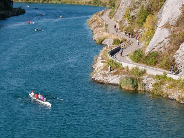 Aviron et vélo au fil du Rhône