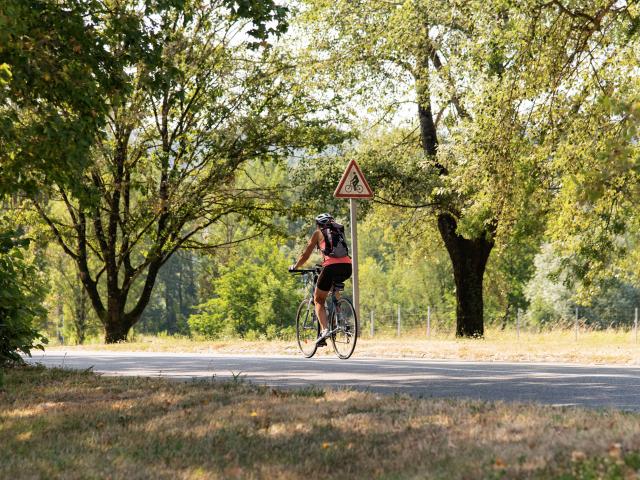 Cycliste sur la ViaRhôna entre Lyon et Genève
