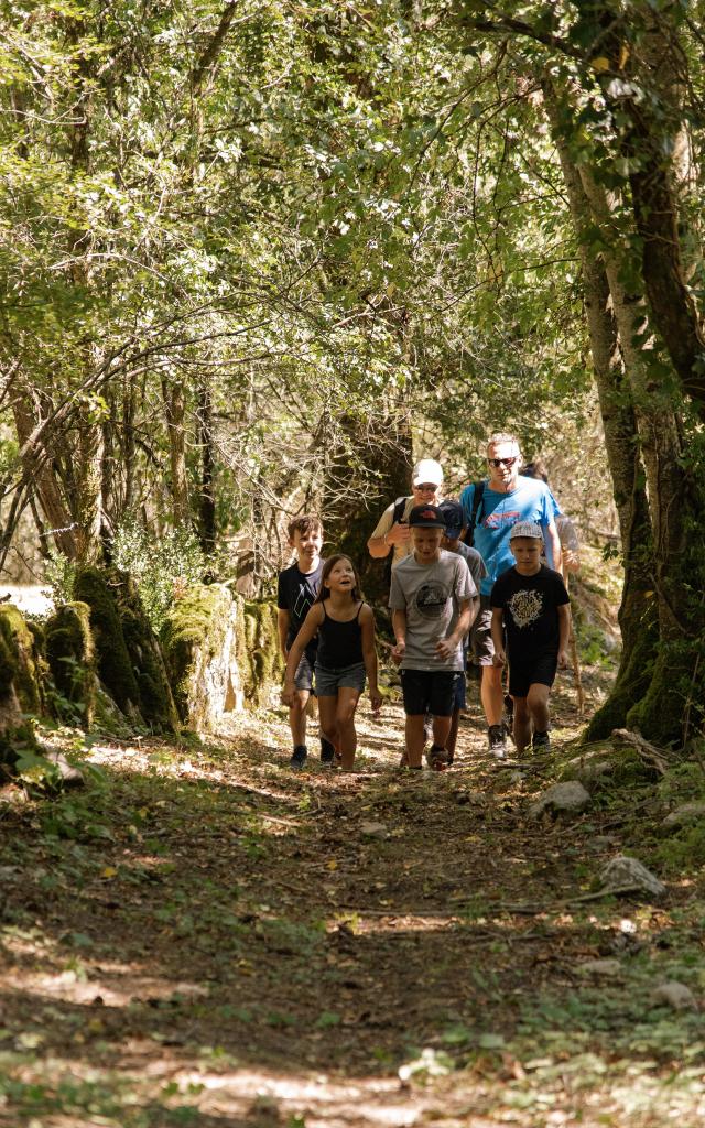 Groupe de randonneurs en forêt