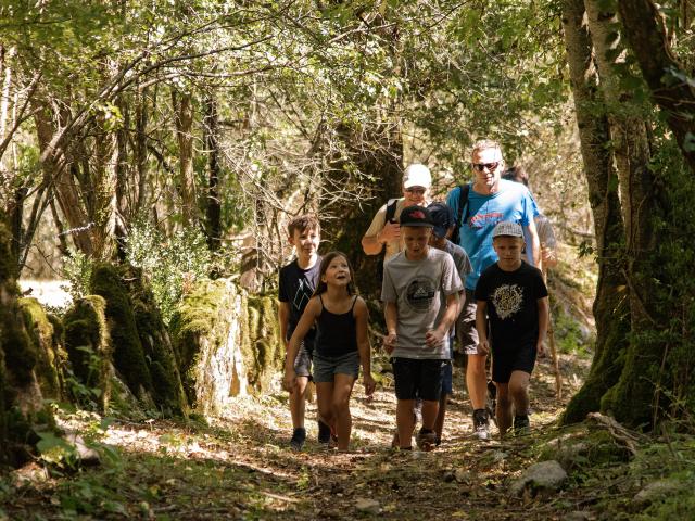 Groupe de randonneurs en forêt