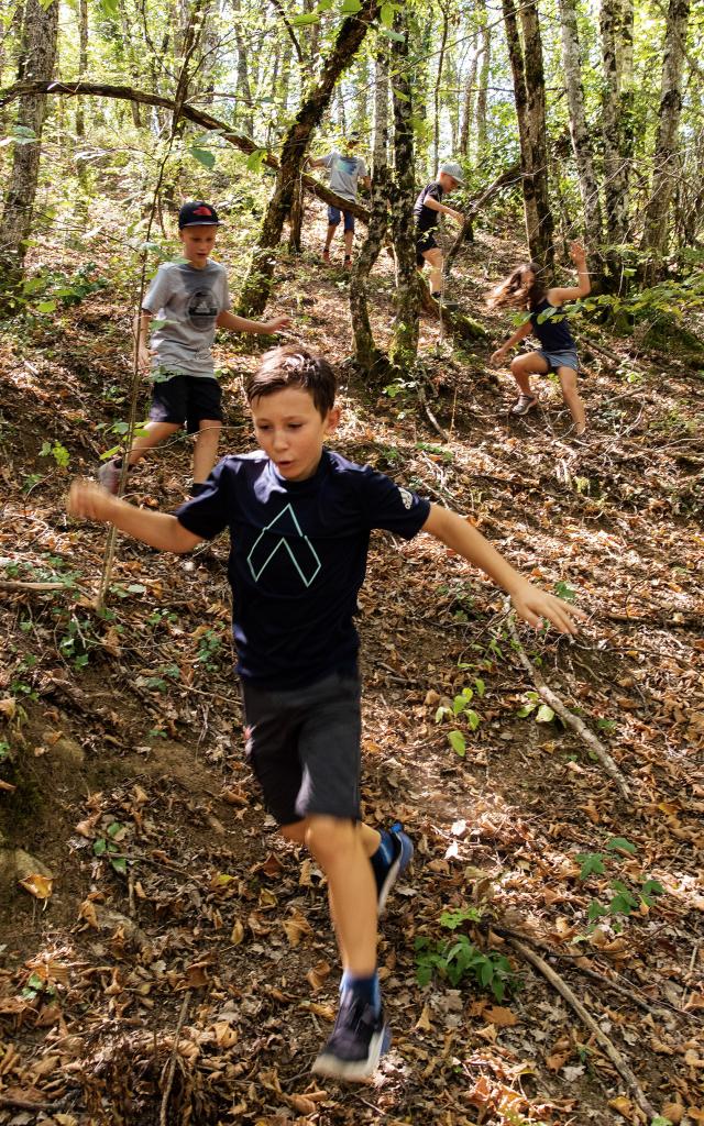 Enfants randonnant en forêt