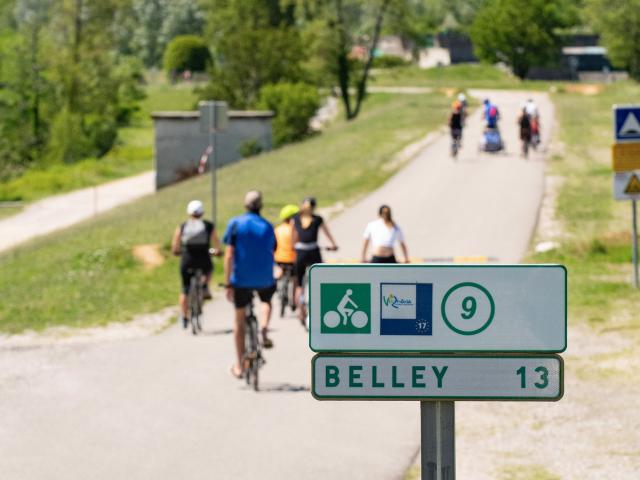 Cyclistes sur la ViaRhôna