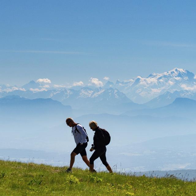 Randonnée avec vue sur le Mont Blanc sur le Grand Colombier