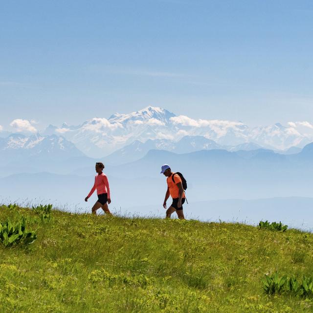 Randonneurs et balcon sur le Mont Blanc depuis le Grand Colombier
