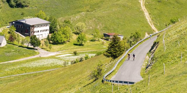 Cyclistes dans les pentes du Grand Colombier côté Valromey