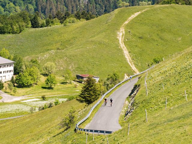 Cyclistes dans les pentes du Grand Colombier côté Valromey
