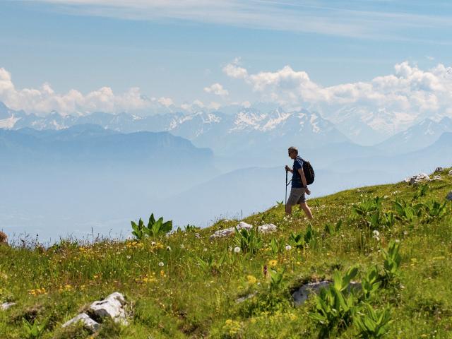 Randonneurs sur le Grand Colombier