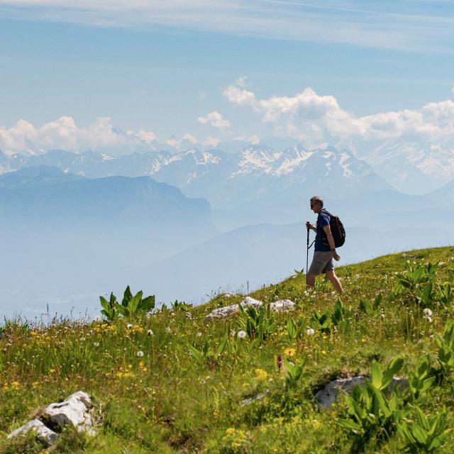 Randonneurs sur le Grand Colombier