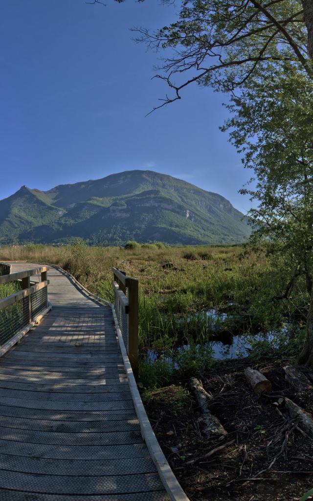 Sentier sur pilotis du Marais de Lavours