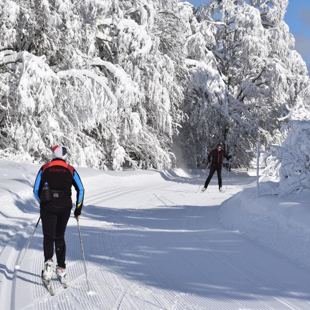 Ski de fond sur le Plateau de Retord
