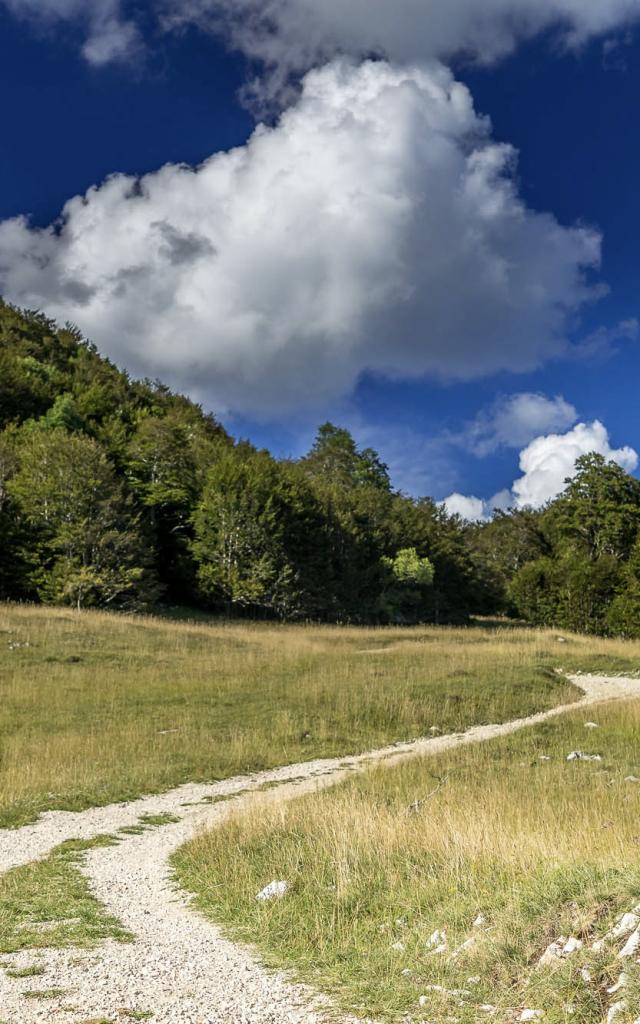 Chemin de randonnée en direction du Crêt du Nu sur le Plateau de Retord
