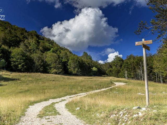 Chemin de randonnée en direction du Crêt du Nu sur le Plateau de Retord