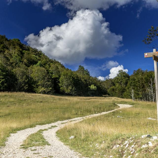Chemin de randonnée en direction du Crêt du Nu sur le Plateau de Retord