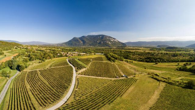 Vue sur les vignobles du Bugey et le Grand Colombier depuis Flaxieu