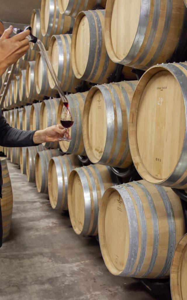 Vins du Bugey au Caveau Bugiste