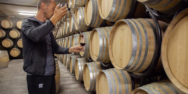 Vins du Bugey au Caveau Bugiste
