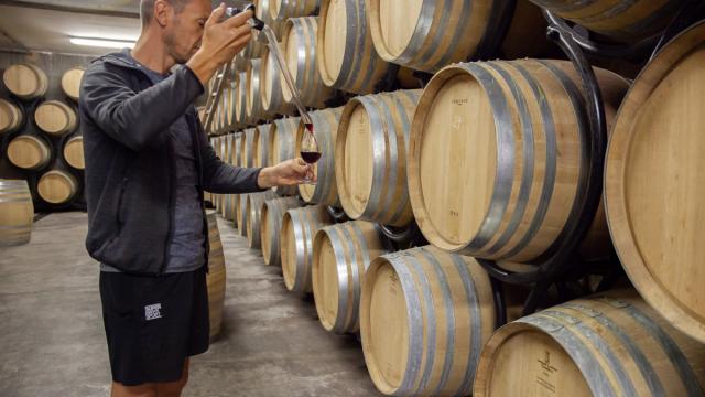 Vins du Bugey au Caveau Bugiste