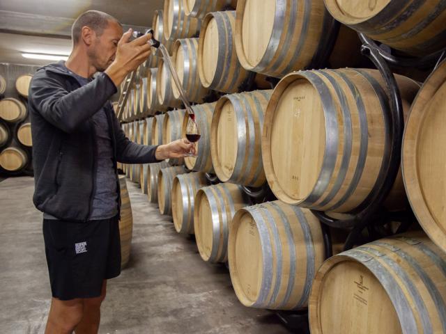 Vins du Bugey au Caveau Bugiste