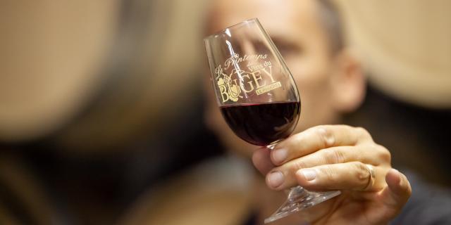 Vins du Bugey