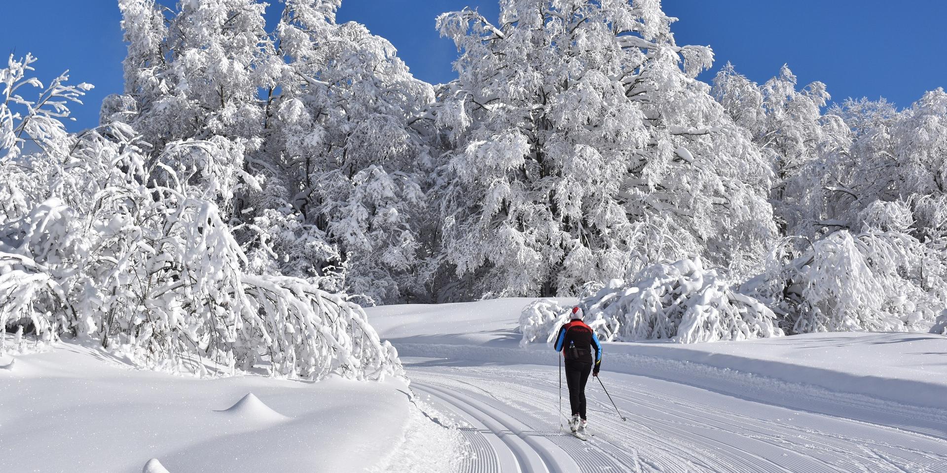 Ski de fond sur le Plateau de Retord