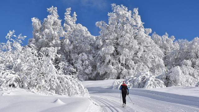 Ski de fond sur le Plateau de Retord