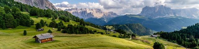 Addon Starter Image 1.jpg