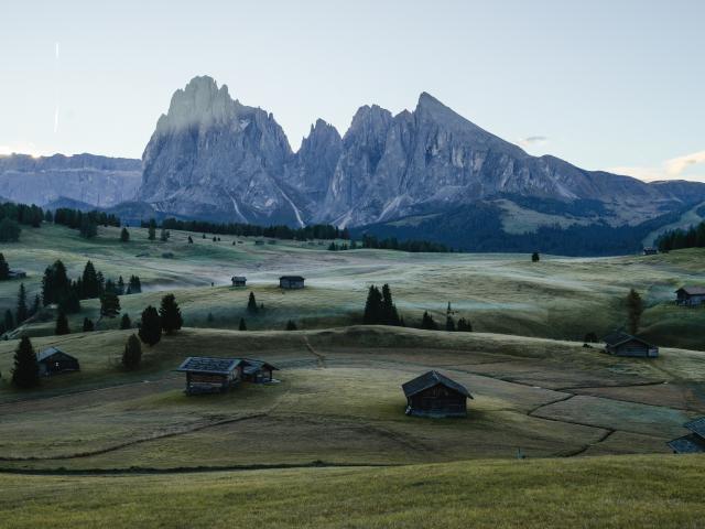 Addon Starter Image 3.jpg