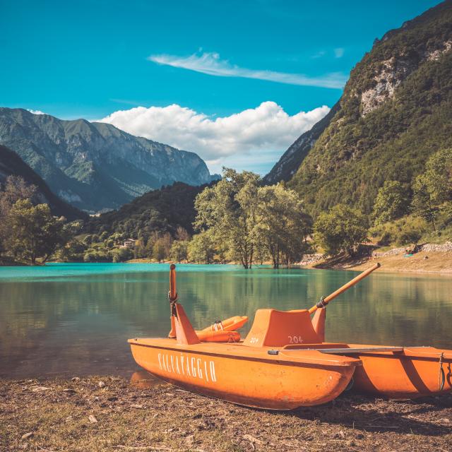 Addon Starter Image 5.jpg