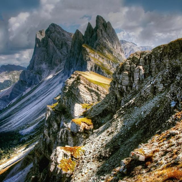 Addon Starter Image 9.jpg