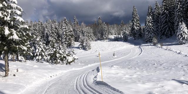 Pistes de ski de fond au site nordique de Lachat