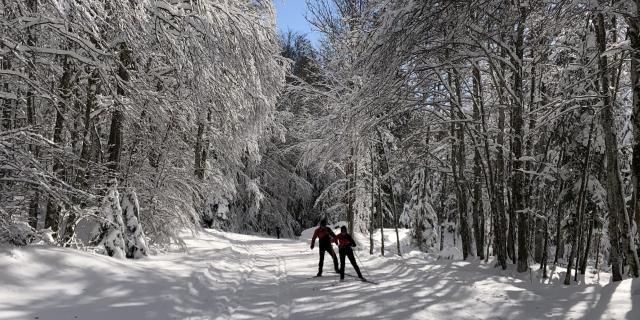 Ski de fond sur le site nordique de Lachat