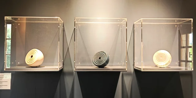 Photo Expositions Musée du Bugey Valromey à Lochieu