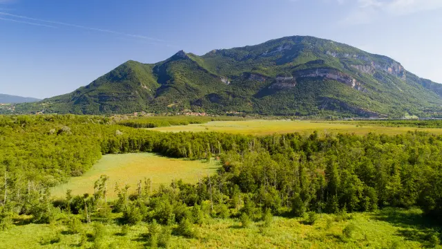 Marais de Lavours face au Grand Colombier